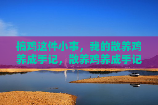 搞鸡这件小事,我的散养鸡养成手记,散养鸡养成手记,这件小事 搞鸡这件小事,我的散养鸡养成手记,散养鸡养成手记,这件小事