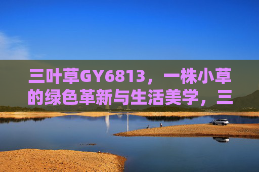 三叶草GY6813,一株小草的绿色革新与生活美学,三叶草GY6813,小草的绿色革新与生活美学 三叶草GY6813,一株小草的绿色革新与生活美学,三叶草GY6813,小草的绿色革新与生活美学