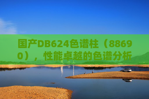 国产DB624色谱柱(88690),性能卓越的色谱分析新选择,国产DB624色谱柱(88690),性能卓越的色谱分析新选择 国产DB624色谱柱(88690),性能卓越的色谱分析新选择,国产DB624色谱柱(88690),性能卓越的色谱分析新选择