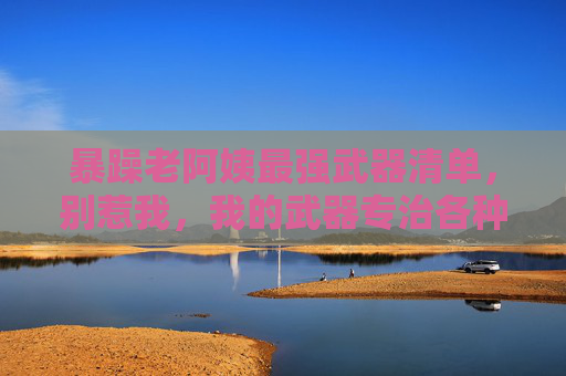 暴躁老阿姨最强武器清单,别惹我,我的武器专治各种不服!暴躁老阿姨最强武器清单,专治各种不服! 暴躁老阿姨最强武器清单,别惹我,我的武器专治各种不服!暴躁老阿姨最强武器清单,专治各种不服!