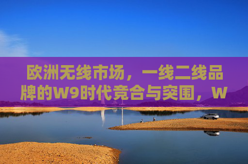 欧洲无线市场,一线二线品牌的W9时代竞合与突围,W9时代欧洲无线市场一线二线品牌竞合突围 欧洲无线市场,一线二线品牌的W9时代竞合与突围,W9时代欧洲无线市场一线二线品牌竞合突围