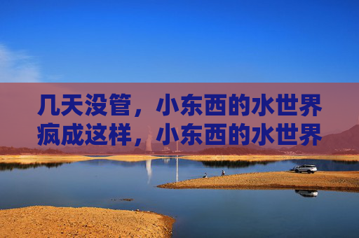 几天没管,小东西的水世界疯成这样,小东西的水世界,几天没管就疯成这样 几天没管,小东西的水世界疯成这样,小东西的水世界,几天没管就疯成这样