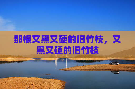 那根又黑又硬的旧竹枝,又黑又硬的旧竹枝 那根又黑又硬的旧竹枝,又黑又硬的旧竹枝