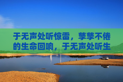 于无声处听惊雷,孳孳不倦的生命回响,于无声处听生命惊雷 于无声处听惊雷,孳孳不倦的生命回响,于无声处听生命惊雷