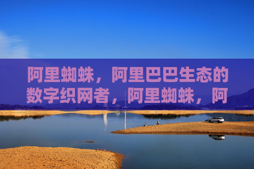 阿里蜘蛛,阿里巴巴生态的数字织网者,阿里蜘蛛,阿里巴巴生态的数字织网者 阿里蜘蛛,阿里巴巴生态的数字织网者,阿里蜘蛛,阿里巴巴生态的数字织网者