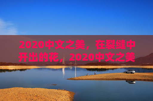 2020中文之美,在裂缝中开出的花,2020中文之美,裂缝中开出的花 2020中文之美,在裂缝中开出的花,2020中文之美,裂缝中开出的花
