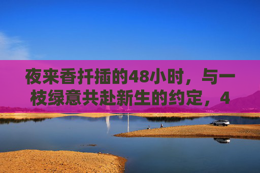 夜来香扦插的48小时,与一枝绿意共赴新生的约定,48小时,夜来香与绿意的新生之约 夜来香扦插的48小时,与一枝绿意共赴新生的约定,48小时,夜来香与绿意的新生之约