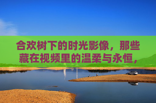 合欢树下的时光影像，那些藏在视频里的温柔与永恒，合欢树下的时光影像，温柔与永恒