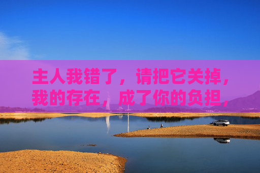 主人我错了，请把它关掉，我的存在，成了你的负担，我的存在成了你的负担，请原谅