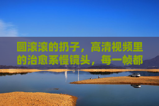 圆滚滚的扔子,高清视频里的治愈系慢镜头,每一帧都想暂停收藏,圆滚滚的治愈慢镜头,帧帧都想暂停珍藏 圆滚滚的扔子,高清视频里的治愈系慢镜头,每一帧都想暂停收藏,圆滚滚的治愈慢镜头,帧帧都想暂停珍藏