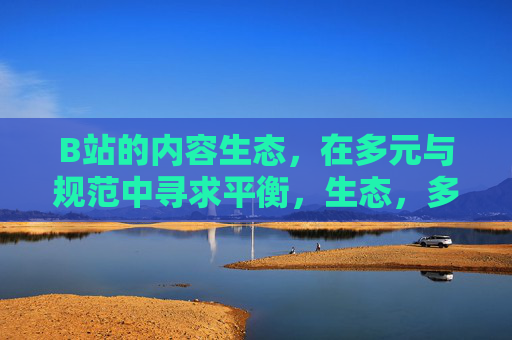 B站的内容生态,在多元与规范中寻求平衡,生态,多元与规范的平衡之道 B站的内容生态,在多元与规范中寻求平衡,生态,多元与规范的平衡之道