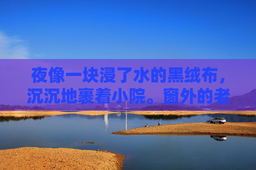 夜像一块浸了水的黑绒布,沉沉地裹着小院。窗外的老槐树影在月光里晃,筛下细碎的光斑,落在兰姨脚边,像一地不敢喘气的猫。她坐在床沿,脊背绷得像张弓,连呼吸都压得极轻,生怕惊扰了什么——她怕吵醒风,夜绷如弓 夜像一块浸了水的黑绒布,沉沉地裹着小院。窗外的老槐树影在月光里晃,筛下细碎的光斑,落在兰姨脚边,像一地不敢喘气的猫。她坐在床沿,脊背绷得像张弓,连呼吸都压得极轻,生怕惊扰了什么——她怕吵醒风,夜绷如弓
