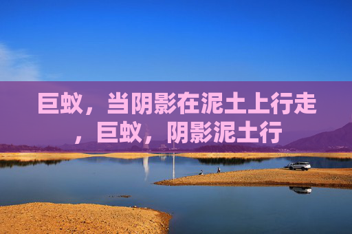 巨蚁,当阴影在泥土上行走,巨蚁,阴影泥土行 巨蚁,当阴影在泥土上行走,巨蚁,阴影泥土行