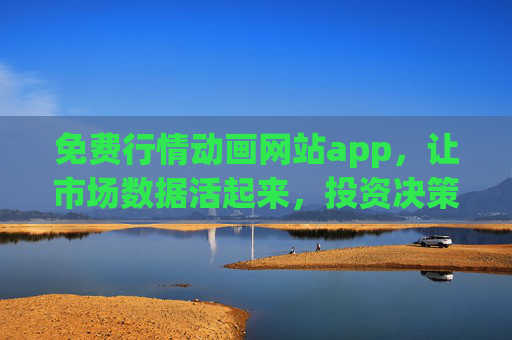 免费行情动画网站app，让市场数据活起来，投资决策更直观，免费行情动画APP，数据活起来，决策更直观