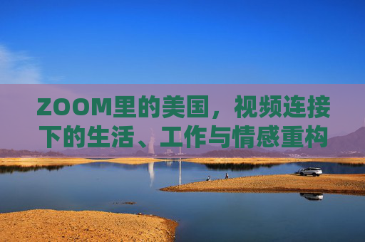 ZOOM里的美国,视频连接下的生活、工作与情感重构,ZOOM里的美国,视频连接下的生活、工作与情感重构 ZOOM里的美国,视频连接下的生活、工作与情感重构,ZOOM里的美国,视频连接下的生活、工作与情感重构