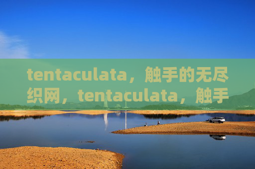 tentaculata,触手的无尽织网,tentaculata,触手的无尽织网 tentaculata,触手的无尽织网,tentaculata,触手的无尽织网