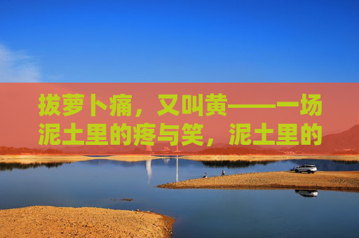 拔萝卜痛，又叫黄——一场泥土里的疼与笑，泥土里的拔萝卜痛与笑