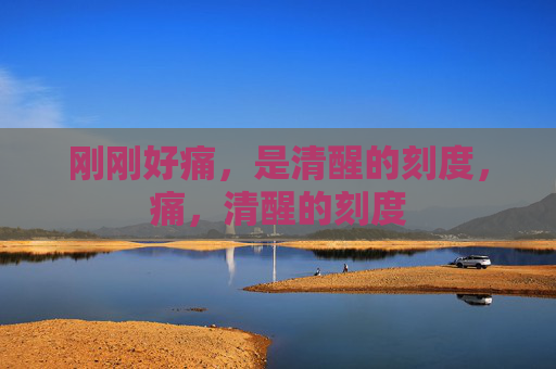 刚刚好痛，是清醒的刻度，痛，清醒的刻度