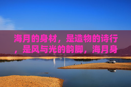 海月的身材,是造物的诗行,是风与光的韵脚,海月身姿,造物诗行,风光韵脚 海月的身材,是造物的诗行,是风与光的韵脚,海月身姿,造物诗行,风光韵脚