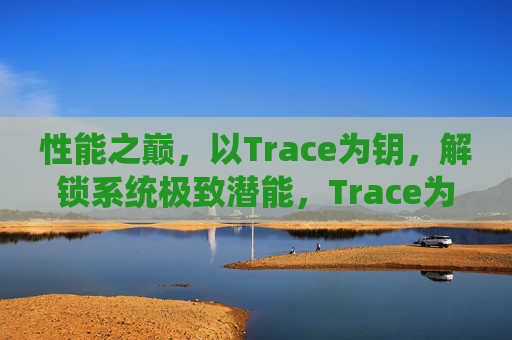 性能之巅,以Trace为钥,解锁系统极致潜能,Trace为钥,解锁系统性能极致潜能 性能之巅,以Trace为钥,解锁系统极致潜能,Trace为钥,解锁系统性能极致潜能