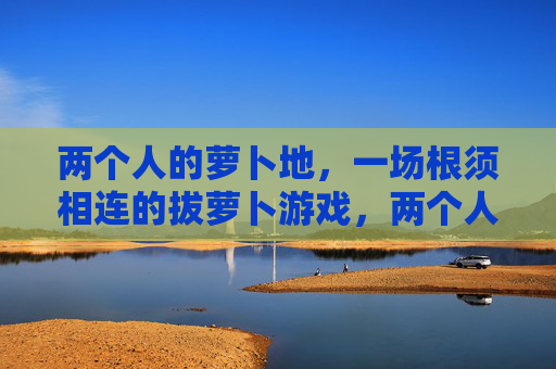 两个人的萝卜地,一场根须相连的拔萝卜游戏,两个人的萝卜地,根须相连的拔萝卜游戏 两个人的萝卜地,一场根须相连的拔萝卜游戏,两个人的萝卜地,根须相连的拔萝卜游戏