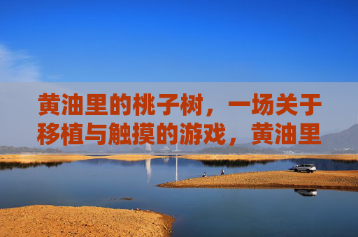 黄油里的桃子树，一场关于移植与触摸的游戏，黄油里的桃子树，移植与触摸的游戏