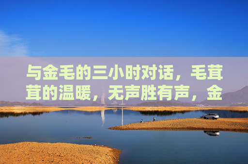 与金毛的三小时对话，毛茸茸的温暖，无声胜有声，金毛三小时，毛茸茸的温暖，无声胜有声
