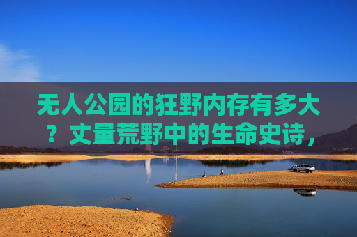 无人公园的狂野内存有多大?丈量荒野中的生命史诗,无人公园的狂野内存,荒野生命史诗 无人公园的狂野内存有多大?丈量荒野中的生命史诗,无人公园的狂野内存,荒野生命史诗