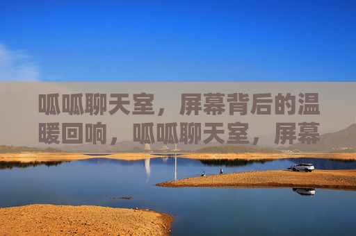 呱呱聊天室，屏幕背后的温暖回响，呱呱聊天室，屏幕背后的温暖回响