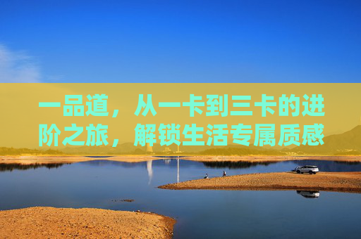 一品道,从一卡到三卡的进阶之旅,解锁生活专属质感,一品道,一卡至三卡进阶,解锁生活专属质感 一品道,从一卡到三卡的进阶之旅,解锁生活专属质感,一品道,一卡至三卡进阶,解锁生活专属质感