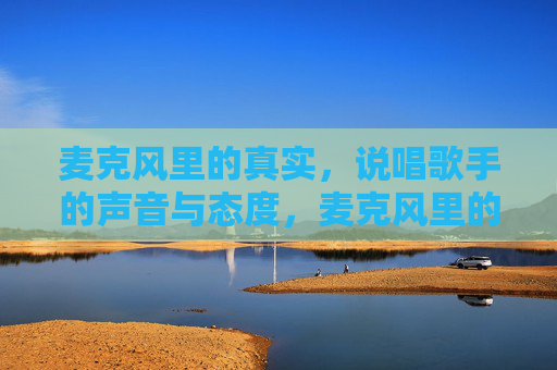 麦克风里的真实,说唱歌手的声音与态度,麦克风里的真实,说唱的声音与态度 麦克风里的真实,说唱歌手的声音与态度,麦克风里的真实,说唱的声音与态度