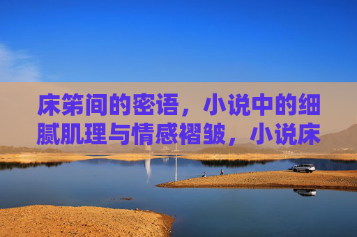 床笫间的密语，小说中的细腻肌理与情感褶皱，小说床笫间的密语褶皱