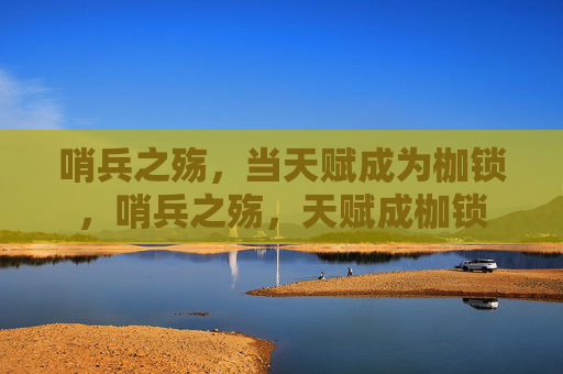 哨兵之殇,当天赋成为枷锁,哨兵之殇,天赋成枷锁 哨兵之殇,当天赋成为枷锁,哨兵之殇,天赋成枷锁