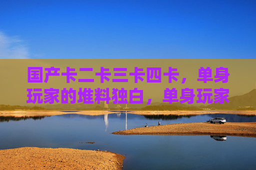 国产卡二卡三卡四卡,单身玩家的堆料独白,单身玩家的国产显卡堆料独白 国产卡二卡三卡四卡,单身玩家的堆料独白,单身玩家的国产显卡堆料独白
