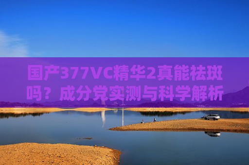 国产377VC精华2真能祛斑吗?成分党实测与科学解析,国产377VC精华2祛斑吗?成分党实测与科学解析 国产377VC精华2真能祛斑吗?成分党实测与科学解析,国产377VC精华2祛斑吗?成分党实测与科学解析