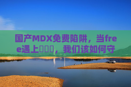 国产MDX免费陷阱,当free遇上❌❌❌,我们该如何守护数字价值?警惕国产MDX免费陷阱,守护数字价值 国产MDX免费陷阱,当free遇上❌❌❌,我们该如何守护数字价值?警惕国产MDX免费陷阱,守护数字价值