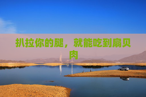 扒拉你的腿,就能吃到扇贝肉 扒拉你的腿,就能吃到扇贝肉