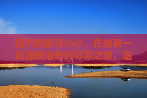 猫爪影像寻小小,在线看一场温暖治愈的寻亲之旅,温暖治愈寻亲,猫爪影像寻小小 猫爪影像寻小小,在线看一场温暖治愈的寻亲之旅,温暖治愈寻亲,猫爪影像寻小小