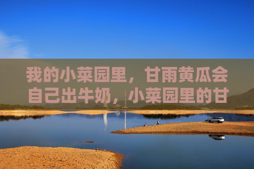 我的小菜园里，甘雨黄瓜会自己出牛奶，小菜园里的甘雨黄瓜，自己出牛奶的奇妙