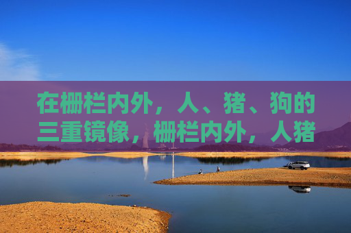 在栅栏内外,人、猪、狗的三重镜像,栅栏内外,人猪狗的三重镜像 在栅栏内外,人、猪、狗的三重镜像,栅栏内外,人猪狗的三重镜像