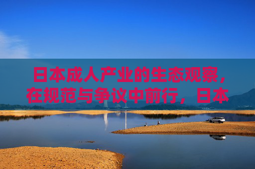 日本成人产业的生态观察，在规范与争议中前行，日本成人产业，规范与争议中的生态前行