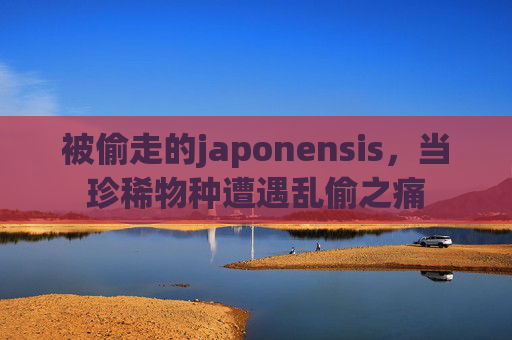 被偷走的japonensis,当珍稀物种遭遇乱偷之痛 被偷走的japonensis,当珍稀物种遭遇乱偷之痛