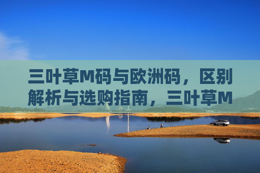 三叶草M码与欧洲码，区别解析与选购指南，三叶草M码与欧码，区别解析及选购指南