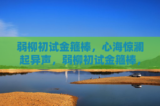 弱柳初试金箍棒,心海惊澜起异声,弱柳初试金箍棒,心海惊澜起异声 弱柳初试金箍棒,心海惊澜起异声,弱柳初试金箍棒,心海惊澜起异声