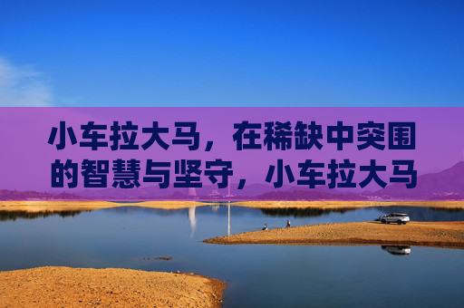 小车拉大马,在稀缺中突围的智慧与坚守,小车拉大马,稀缺突围的智慧与坚守 小车拉大马,在稀缺中突围的智慧与坚守,小车拉大马,稀缺突围的智慧与坚守
