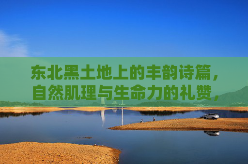 东北黑土地上的丰韵诗篇，自然肌理与生命力的礼赞，黑土地，自然肌理与生命的丰韵礼赞