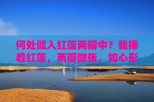 何处倾入红莲两瓣中?我捧着红莲,两瓣微张,如心形敞开的容器,仿佛在等待某种神秘的倾注仪式,红莲两瓣待倾注 何处倾入红莲两瓣中?我捧着红莲,两瓣微张,如心形敞开的容器,仿佛在等待某种神秘的倾注仪式,红莲两瓣待倾注