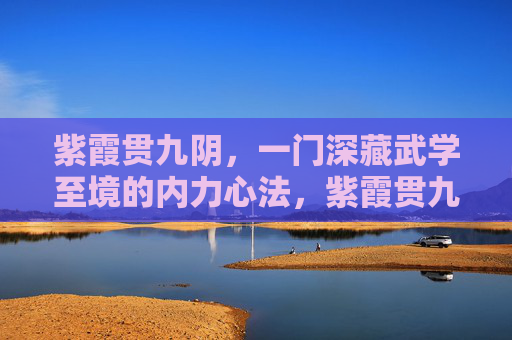 紫霞贯九阴，一门深藏武学至境的内力心法，紫霞贯九阴，武学至境内力心法