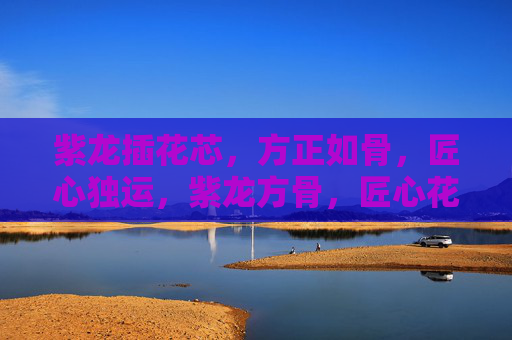 紫龙插花芯,方正如骨,匠心独运,紫龙方骨,匠心花芯 紫龙插花芯,方正如骨,匠心独运,紫龙方骨,匠心花芯