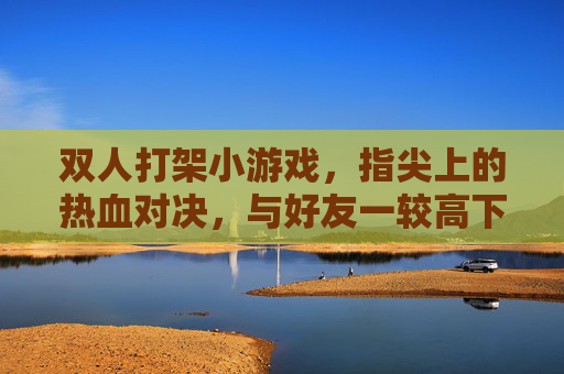 双人打架小游戏，指尖上的热血对决，与好友一较高下！双人指尖热血对决